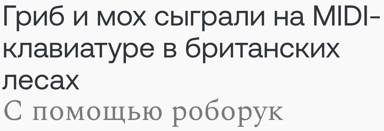 Гриб и мох сыграли на MIDI- клавиатуре в британских лесах С помощью роборук