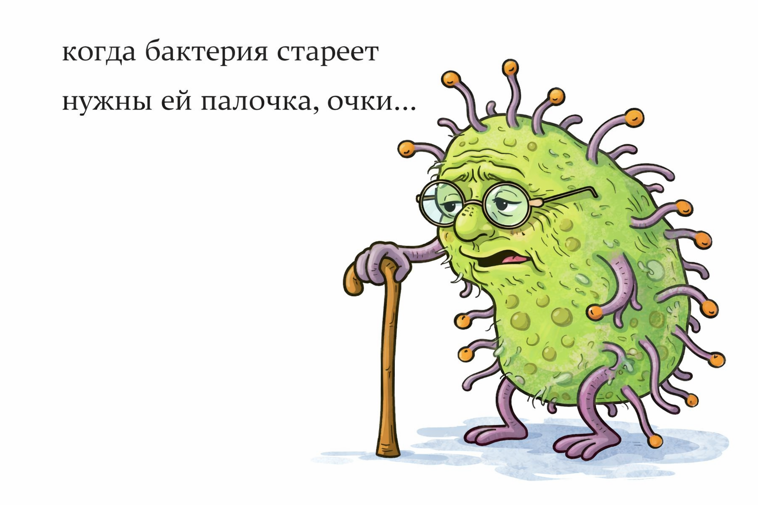 когда бактерия стареет нужны ей палочка, очки...